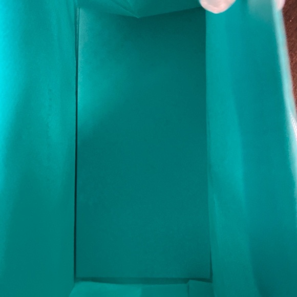 Authentic Tiffany & Co. Teal Blue Gift Bag: Reusable Bag - Picture 3 of 6